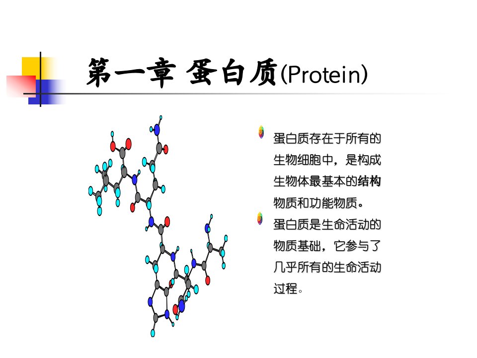 chapter1蛋白质section1