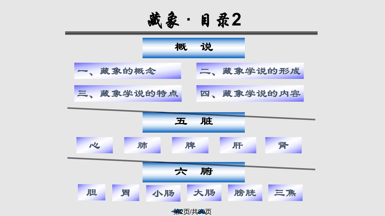 预防医学藏象正常人体观之五脏六腑