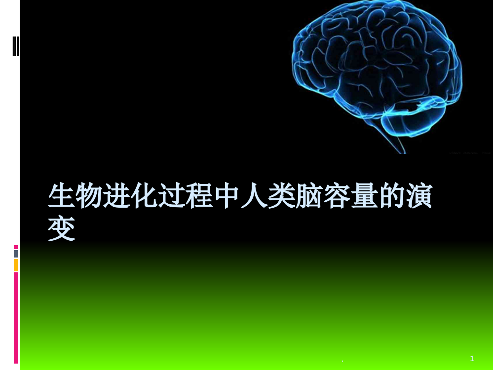 生物进化过程中人类脑容量的演变PPT课件