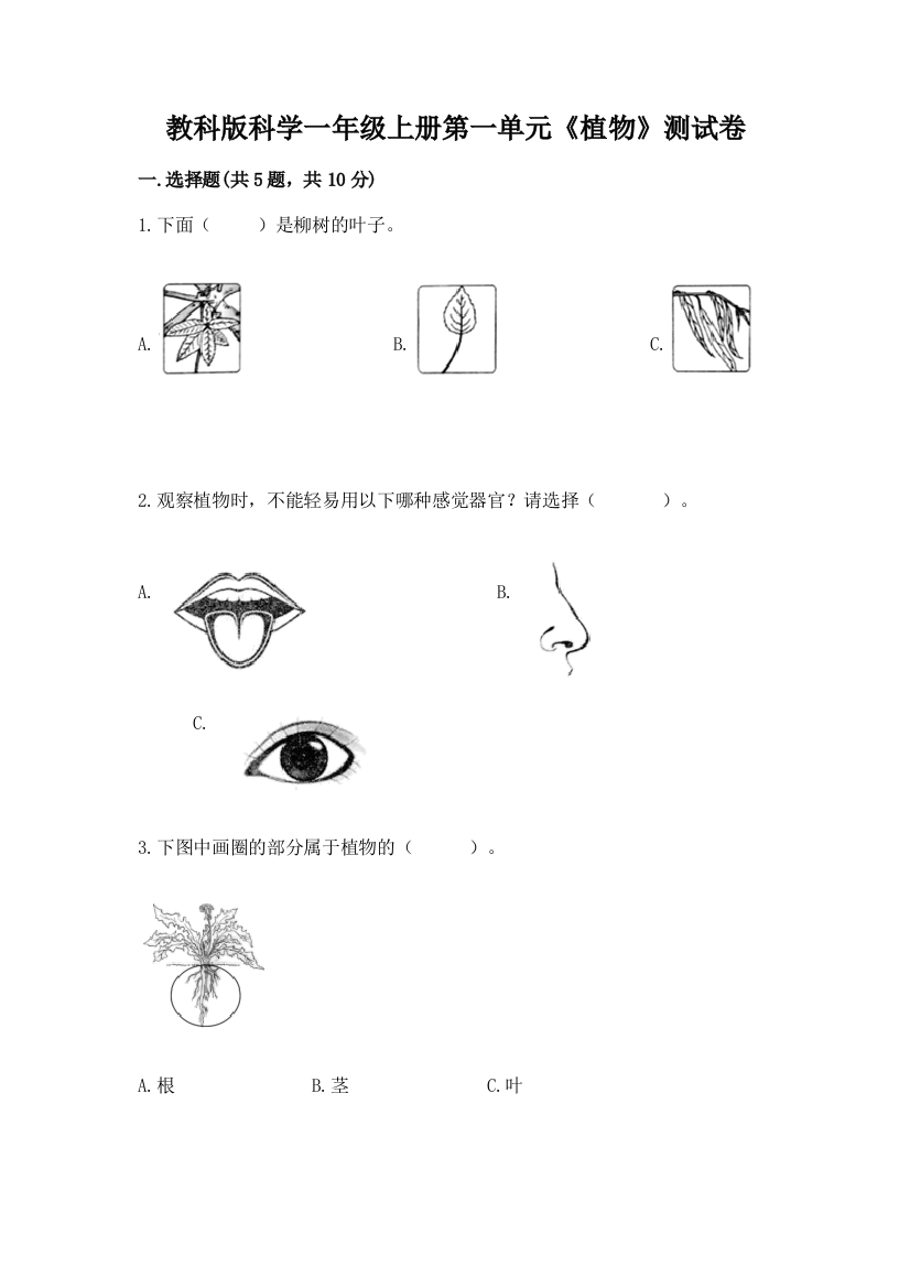 教科版科学一年级上册第一单元《植物》测试卷附答案(完整版)