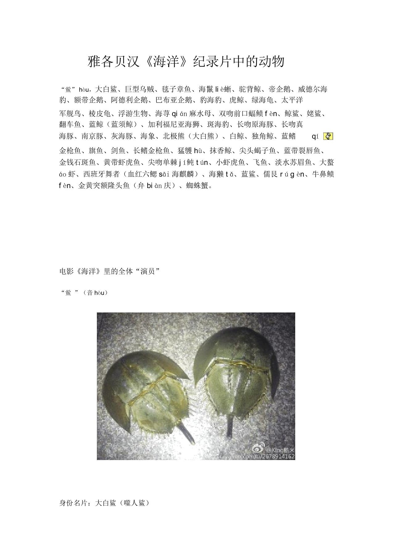 《海洋》雅各贝汉纪录片中的动物