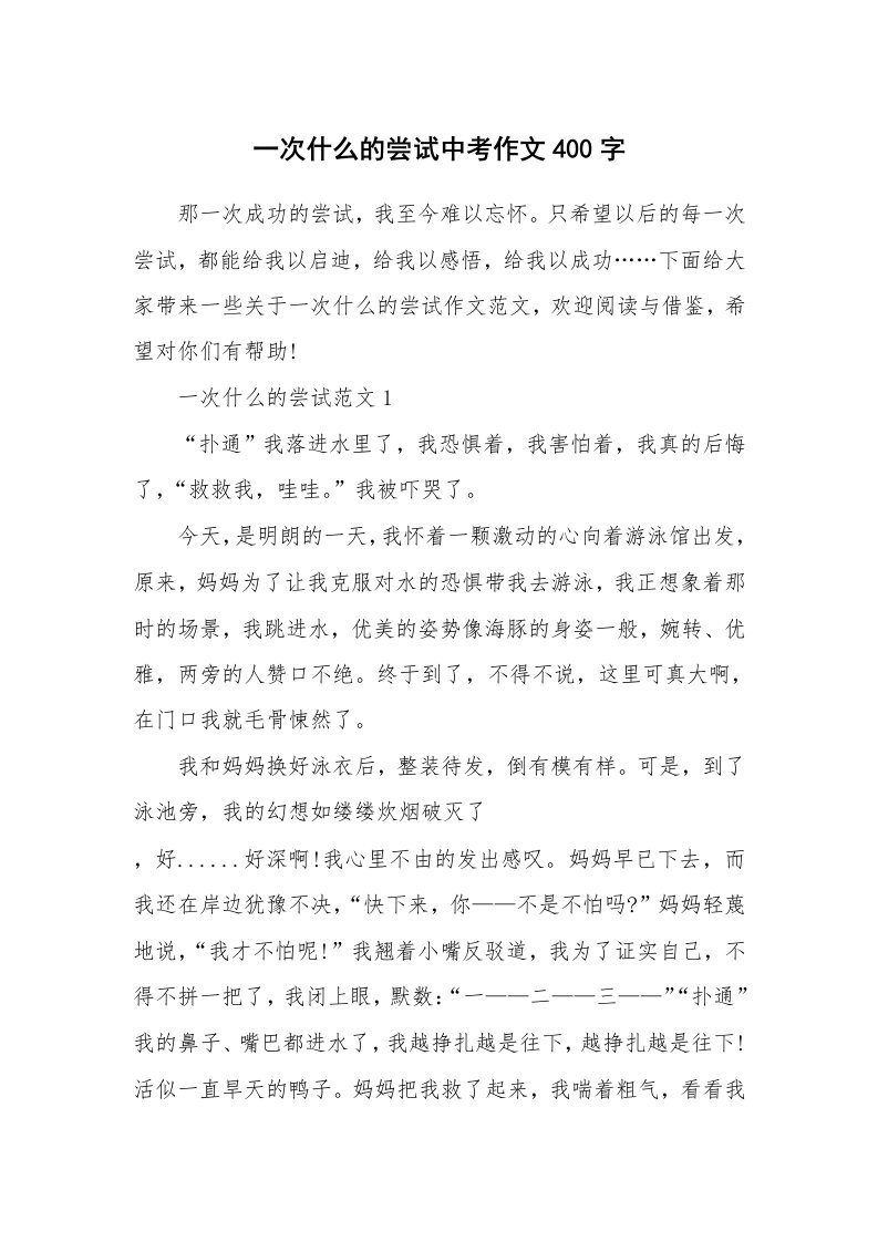 一次什么的尝试中考作文400字