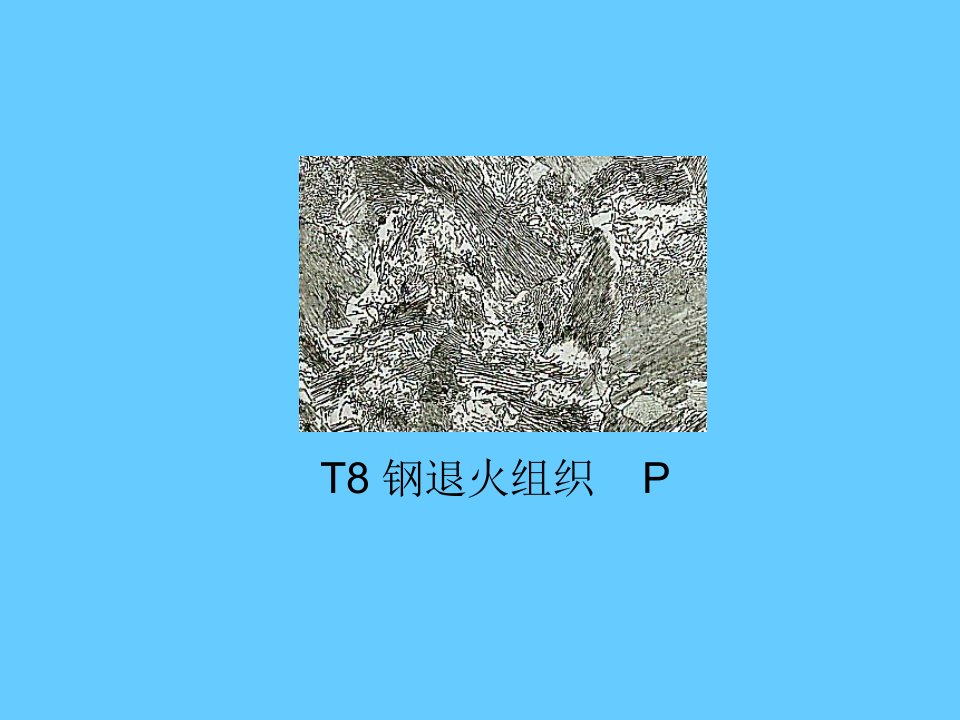 【材料课件】t8钢退火组织