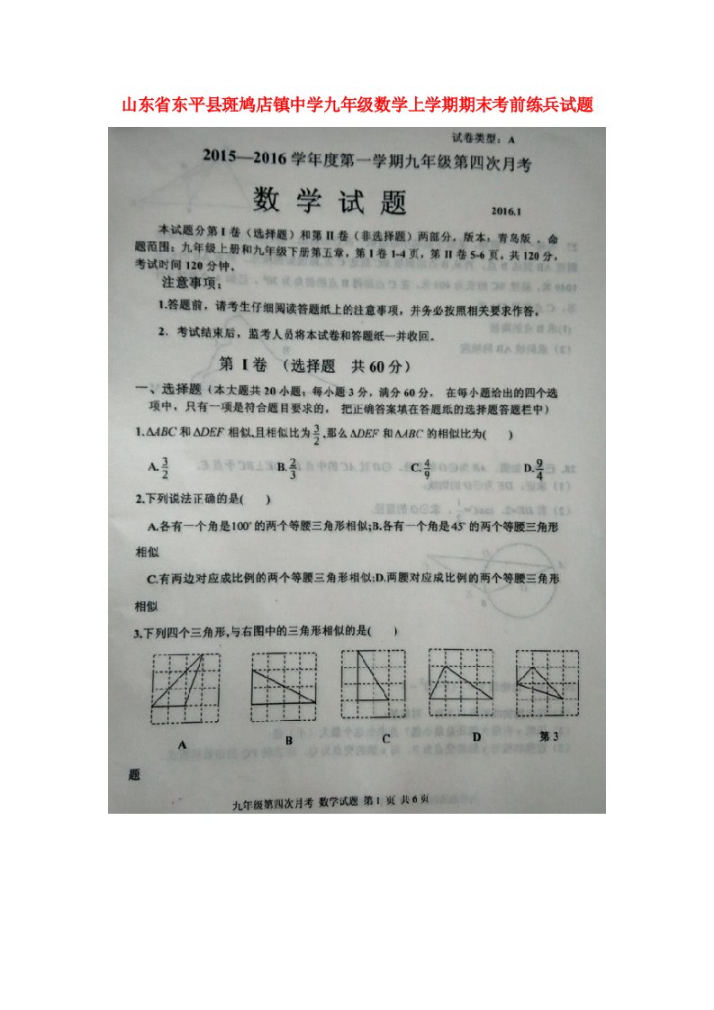 山东省东平县斑鸠店镇中学九级数学上学期期末考前练兵试题（扫描版）