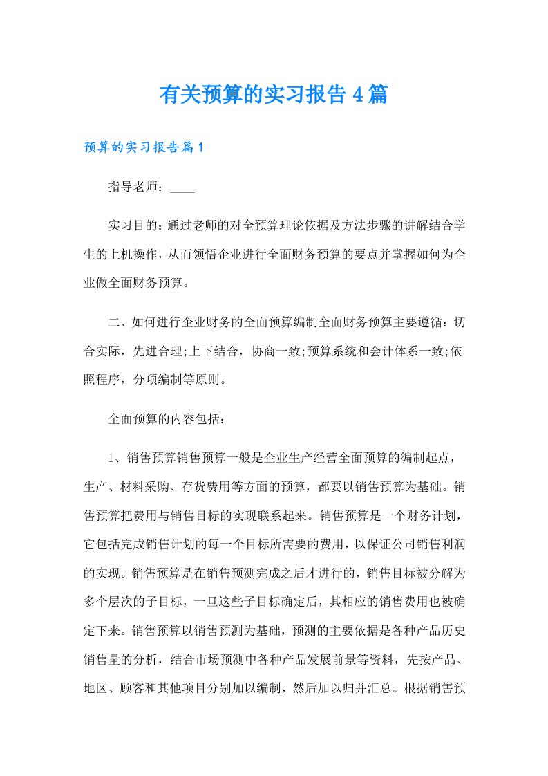 有关预算的实习报告4篇