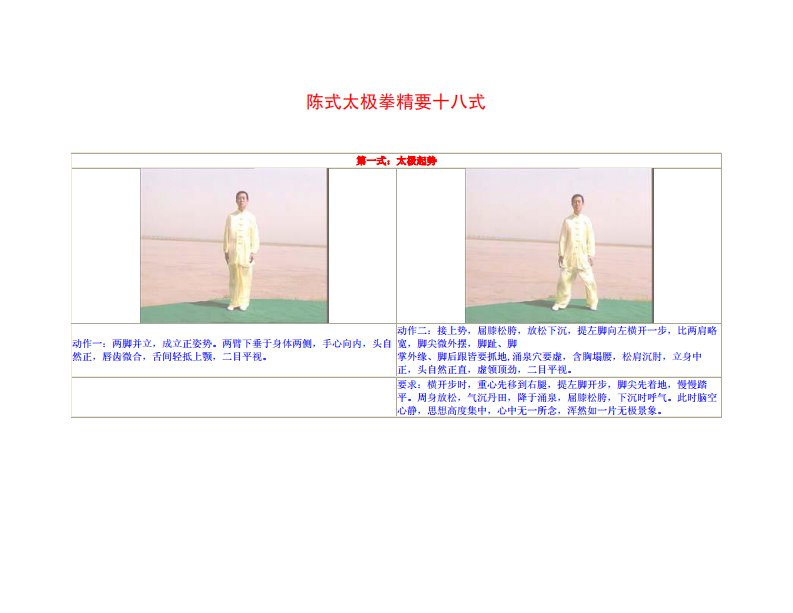 陈式太极拳精要十八式