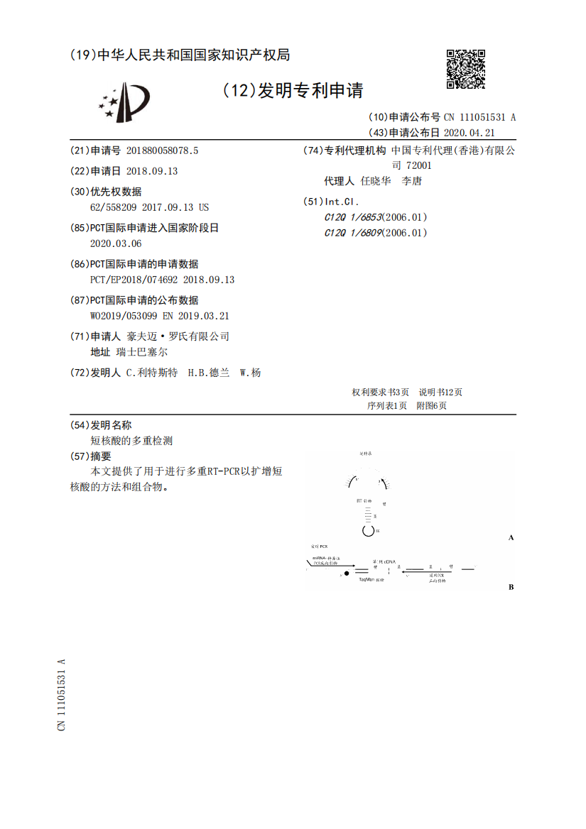 短核酸的多重检测