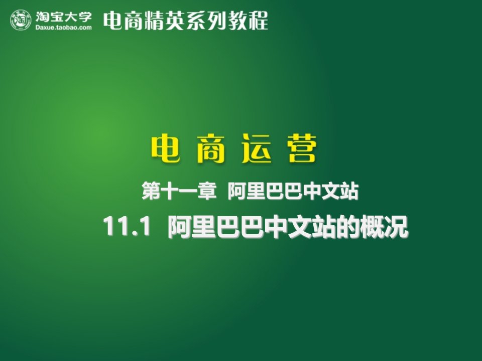 11.1阿里巴巴中文站的概况教学教案