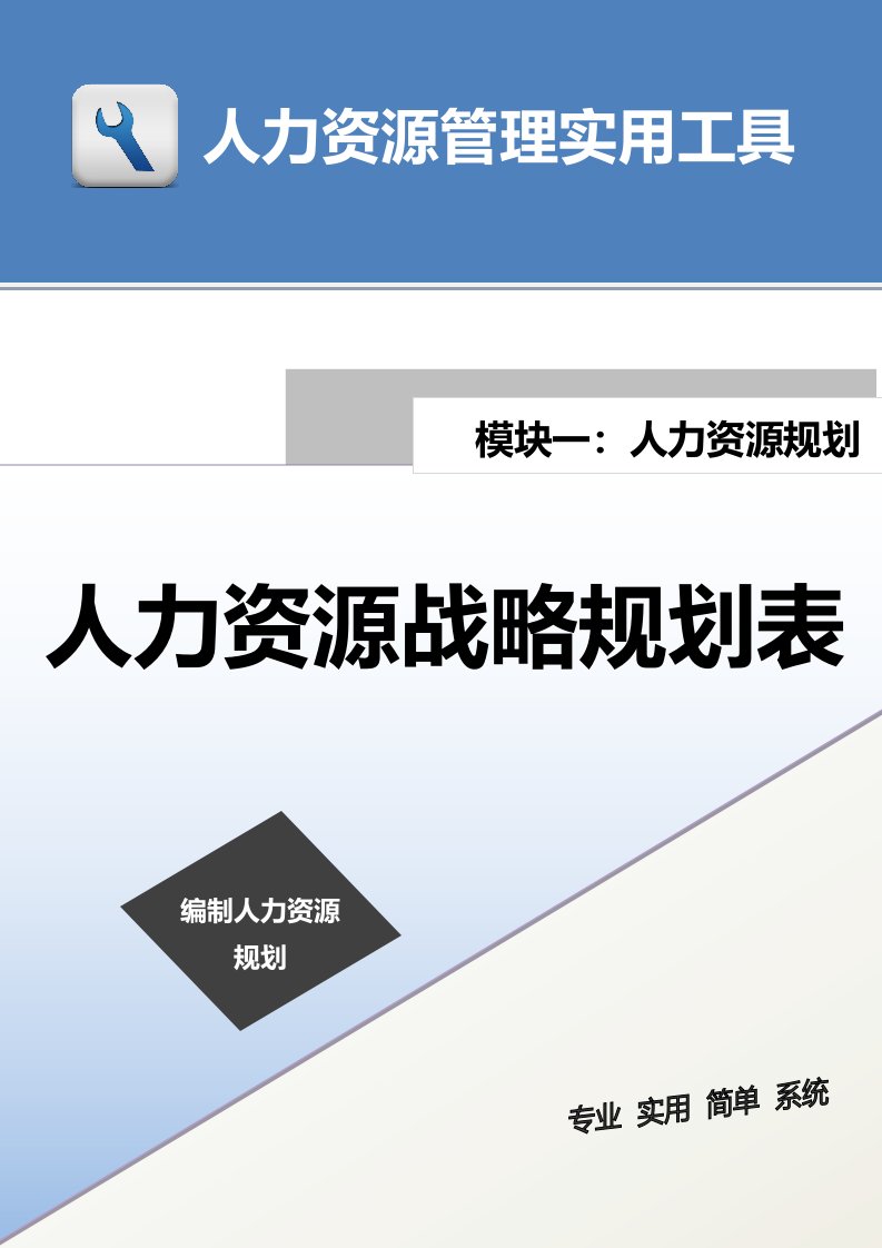 企业管理-人力资源战略规划表
