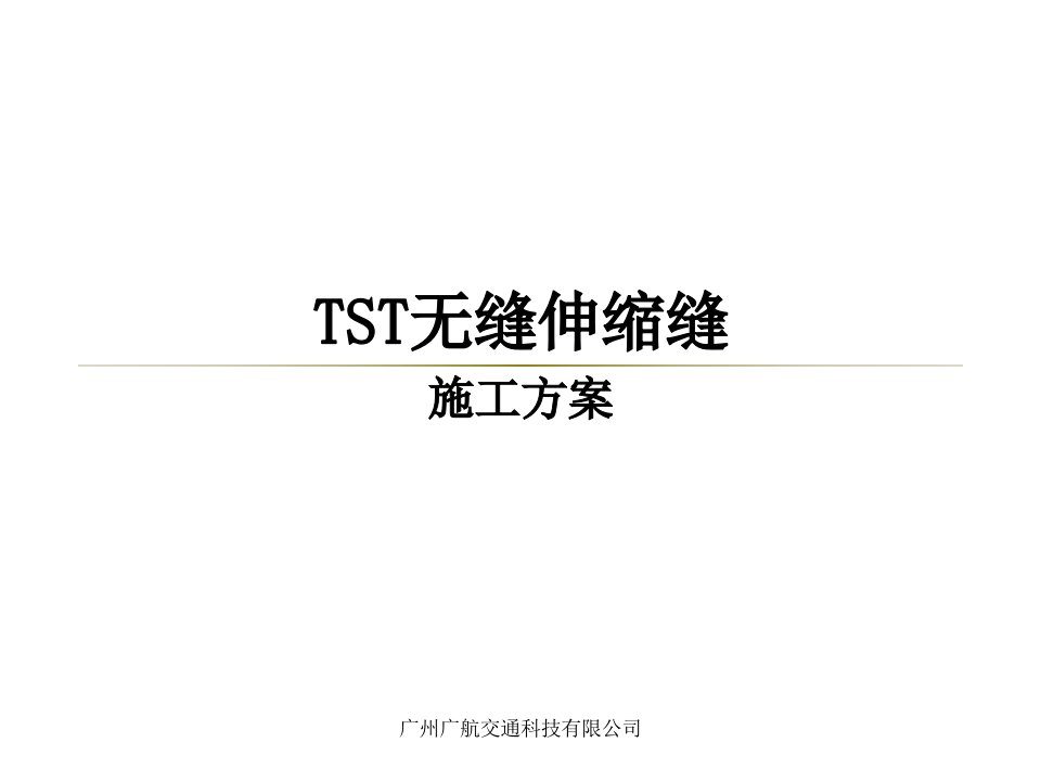 TST无缝伸缩缝施工方案