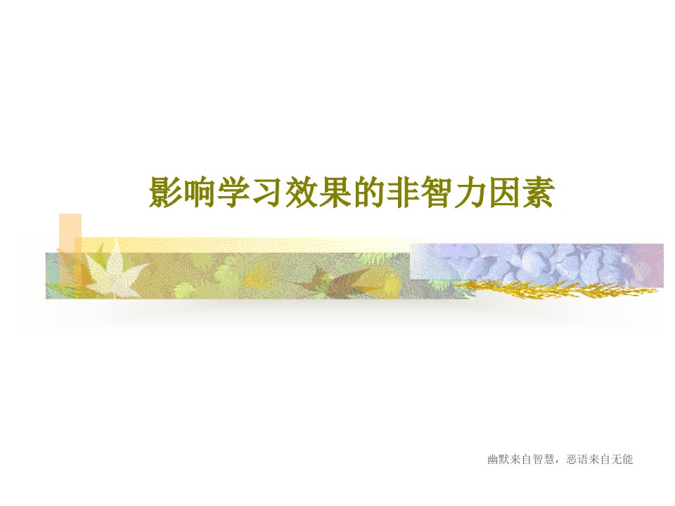 影响学习效果的非智力因素23张幻灯片