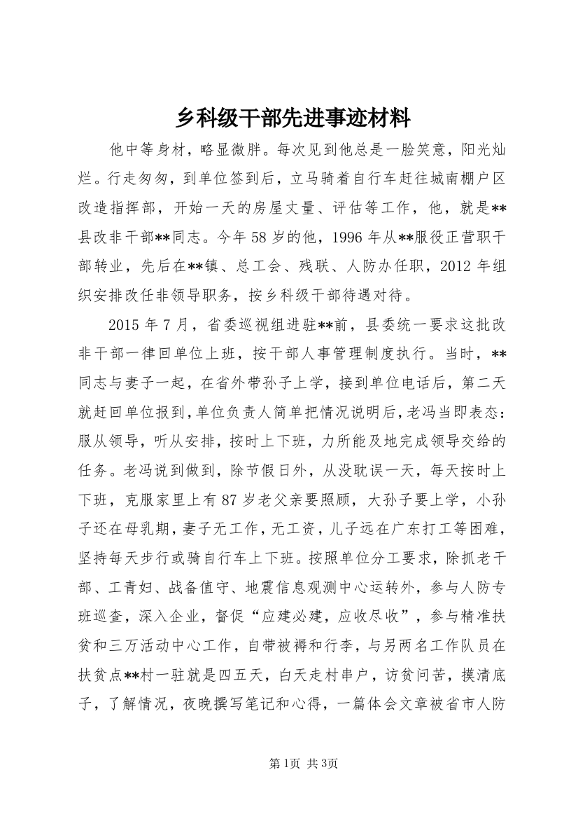 乡科级干部先进事迹材料