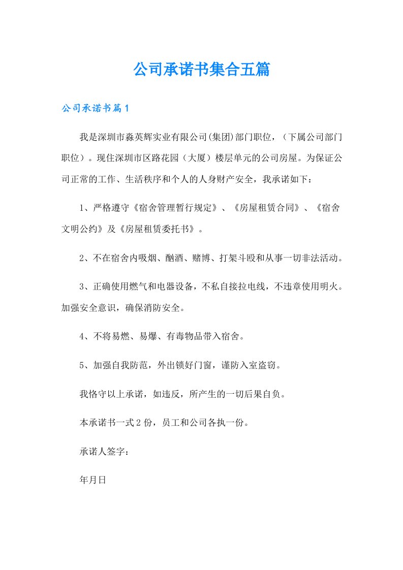 公司承诺书集合五篇