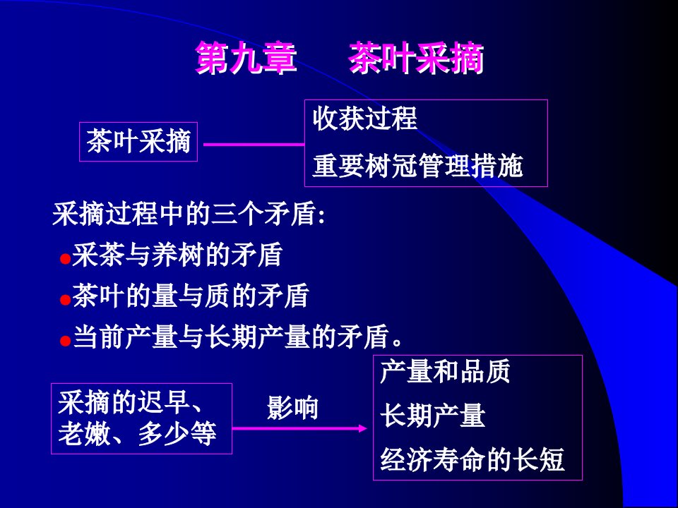 第九章茶叶采摘-课件（PPT·精选）