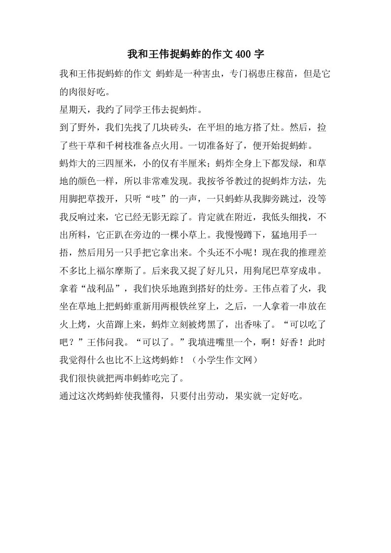 我和王伟捉蚂蚱的作文400字