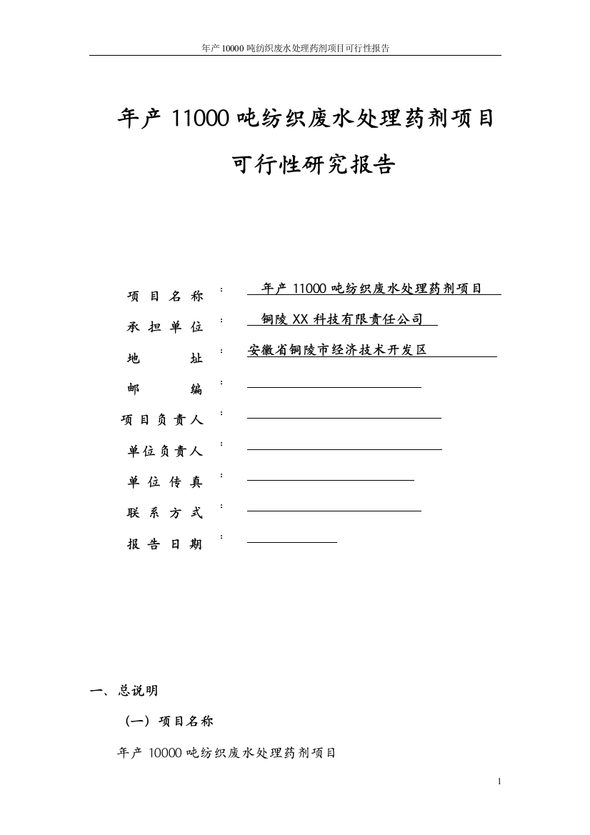 年产11000吨纺织废水处理药剂项目可行性策划书