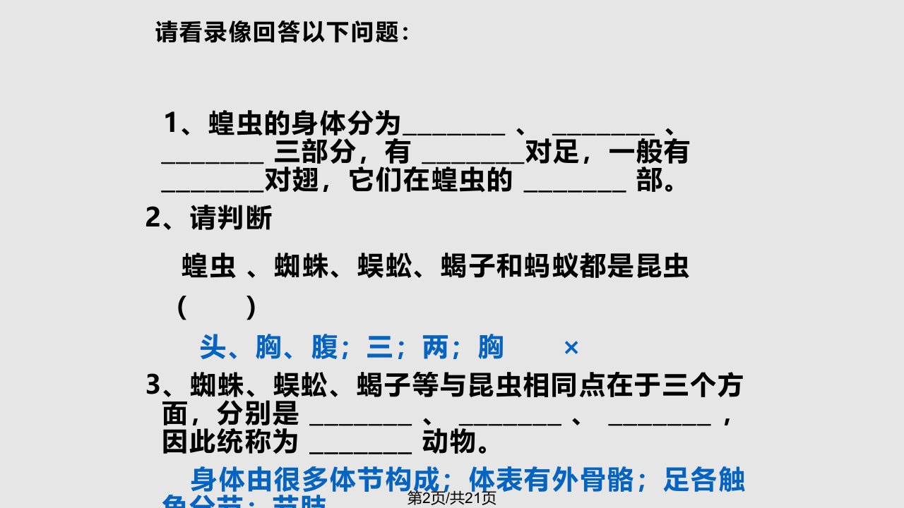 生物空中飞行的动物人教八年级上