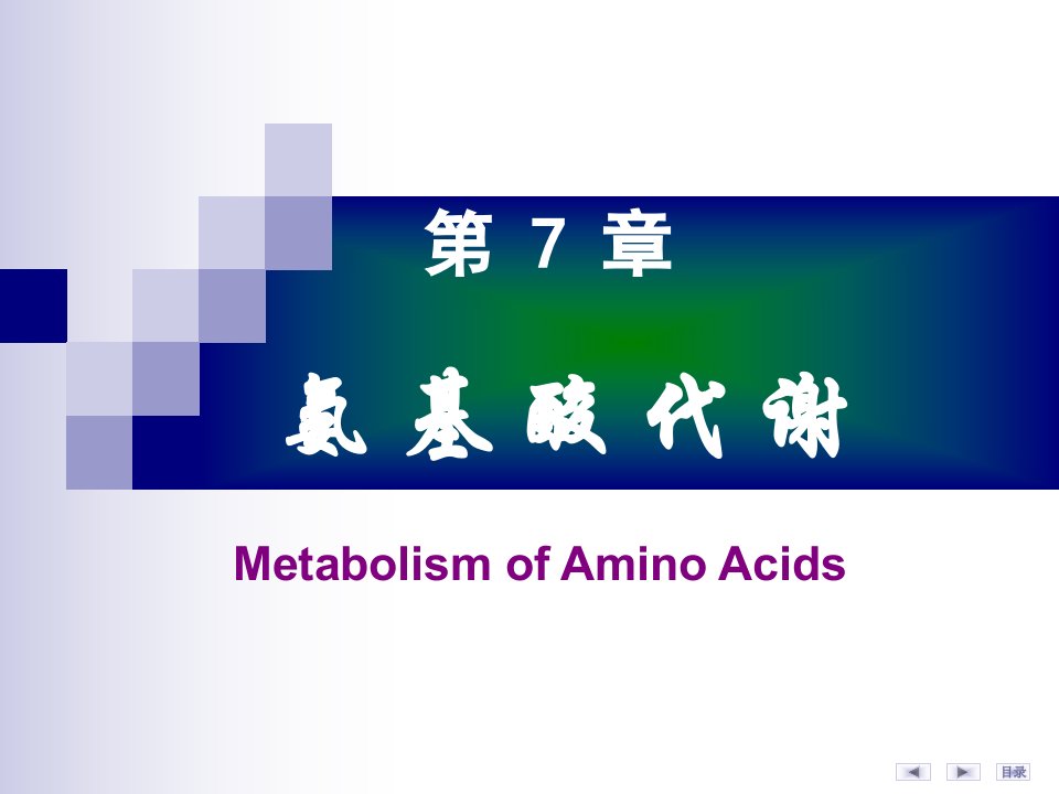 氨基酸代谢第7