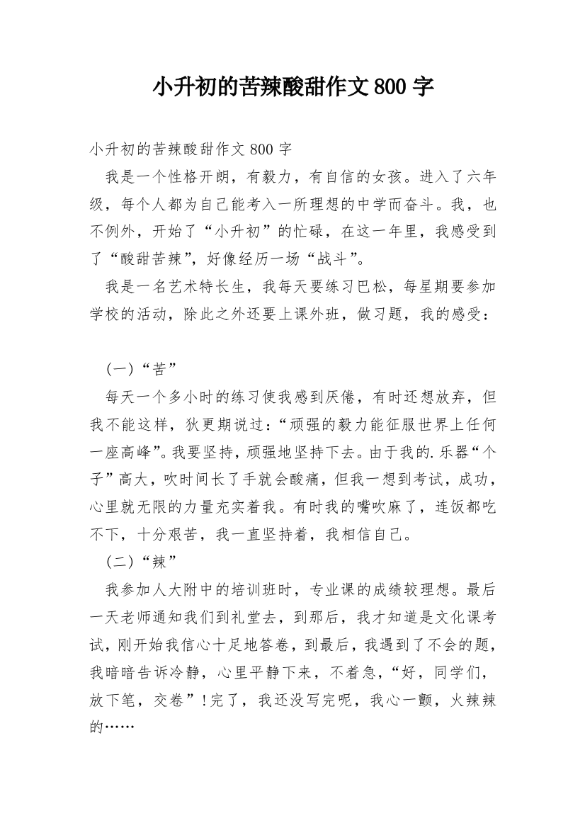 小升初的苦辣酸甜作文800字