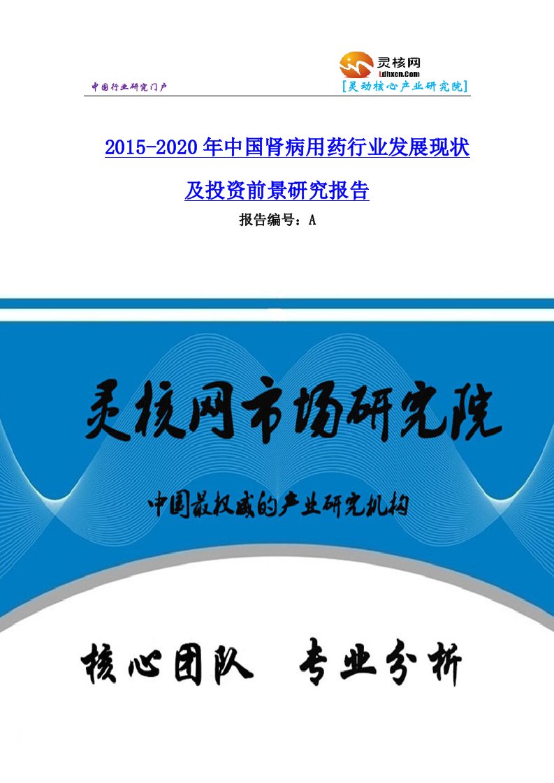 中国肾病用药行业市场分析与发展趋势研究报告灵核网