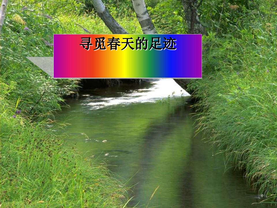 八级语文下册《寻觅春天的足迹》课件