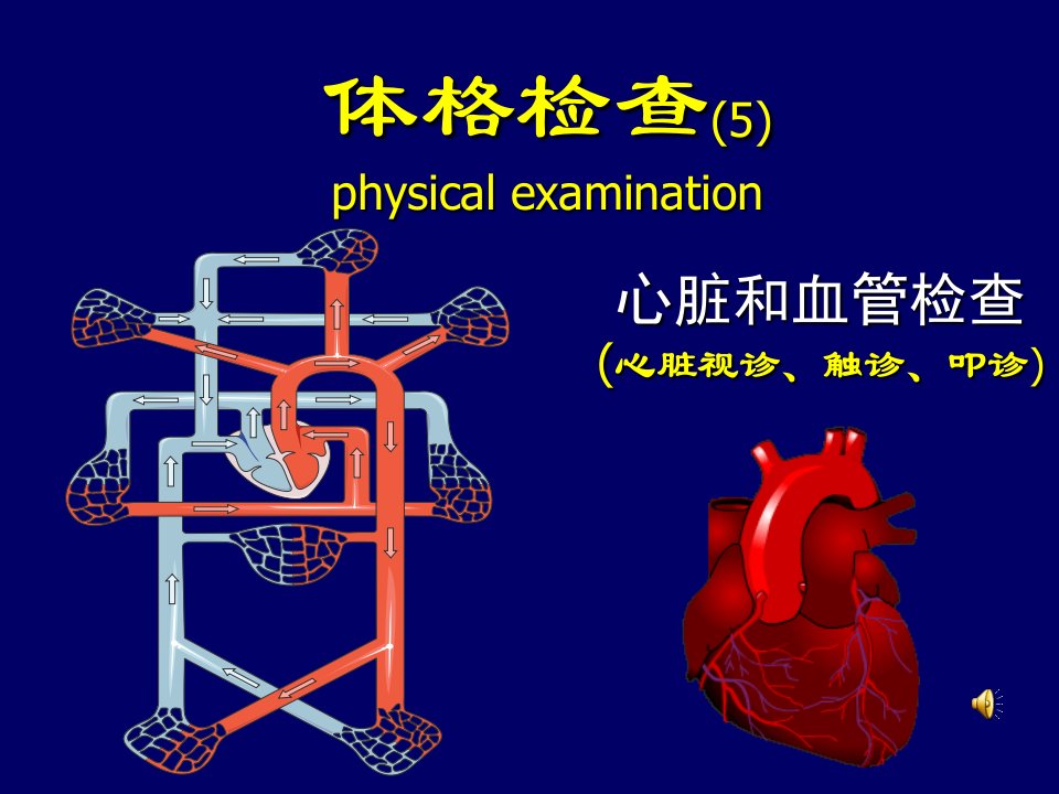 医学心脏检查课件