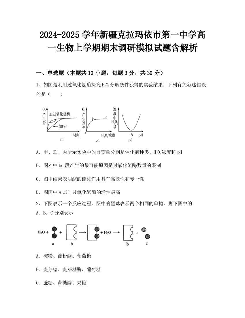 2024-2025学年新疆克拉玛依市第一中学高一生物上学期期末调研模拟试题含解析