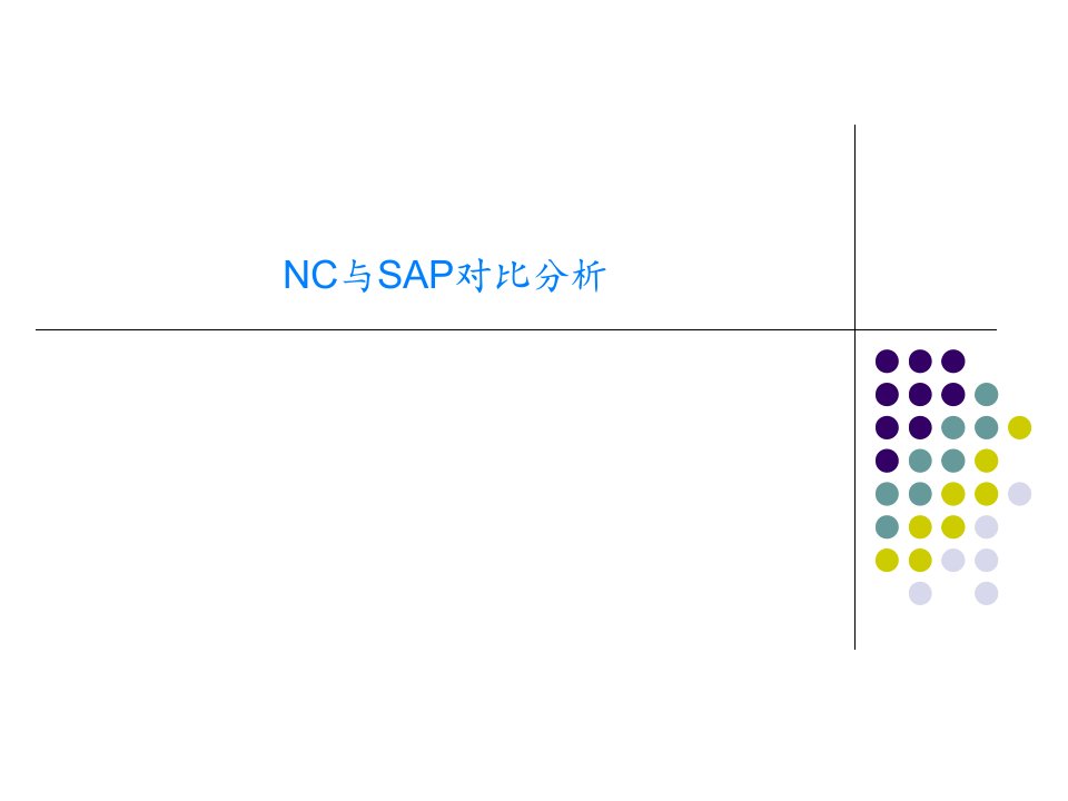 NC与SAP对比分析