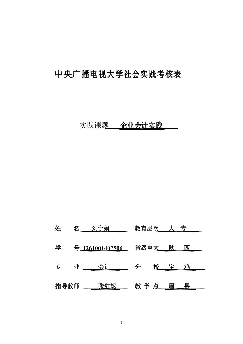 会计专业社会实践样表