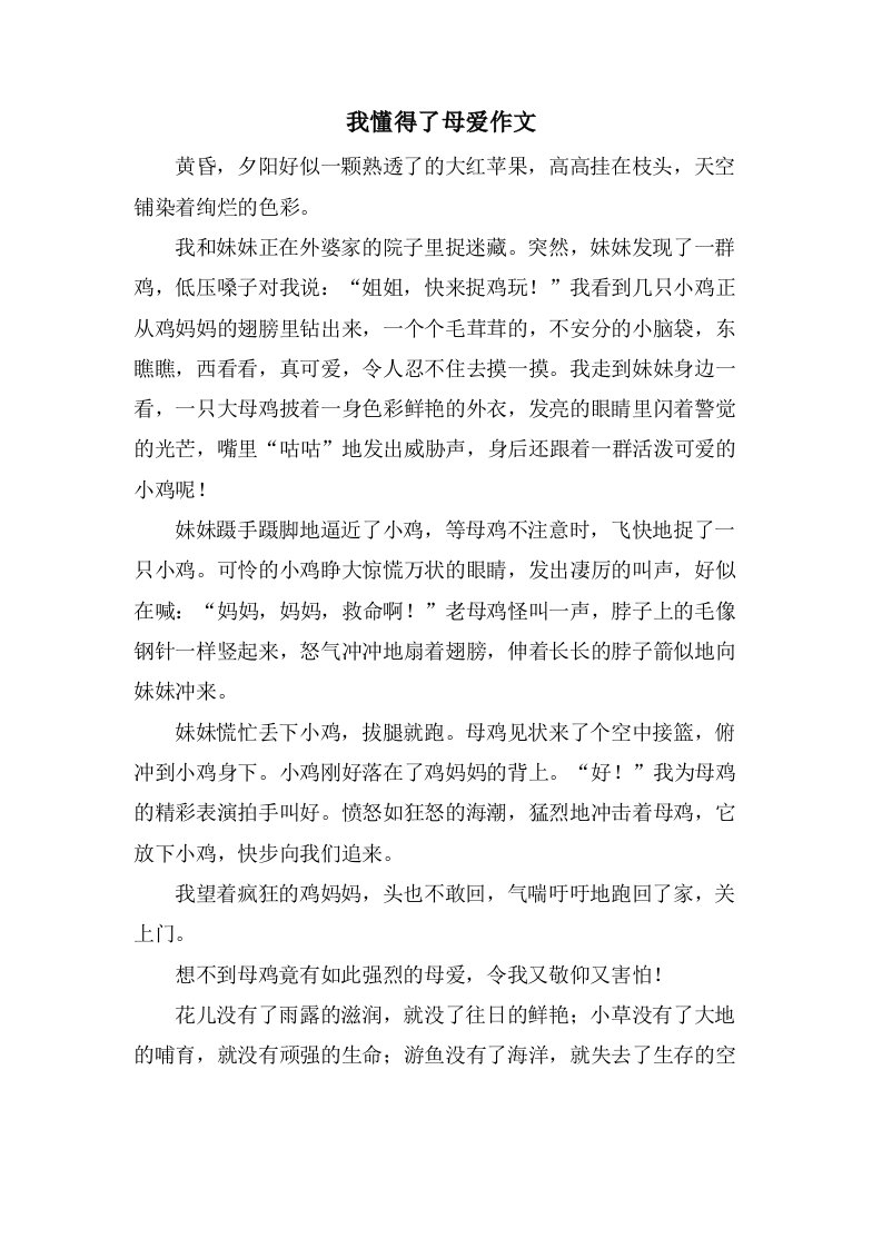 我懂得了母爱作文