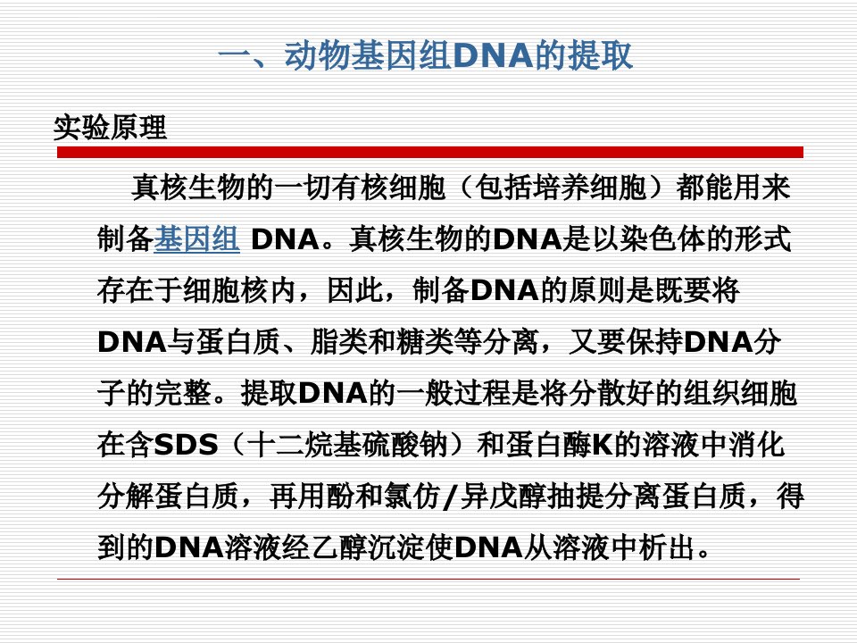 基因敲除小鼠的实验流程ppt课件