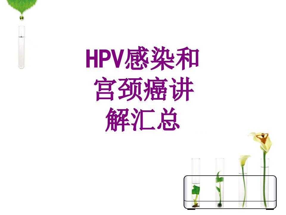 HPV感染和宫颈癌宣讲汇总优质PPT讲义