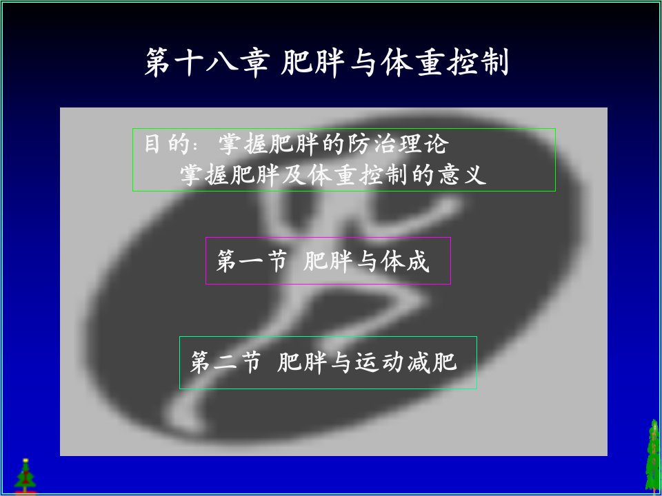 运动生理学肥胖与体重控制ppt课件