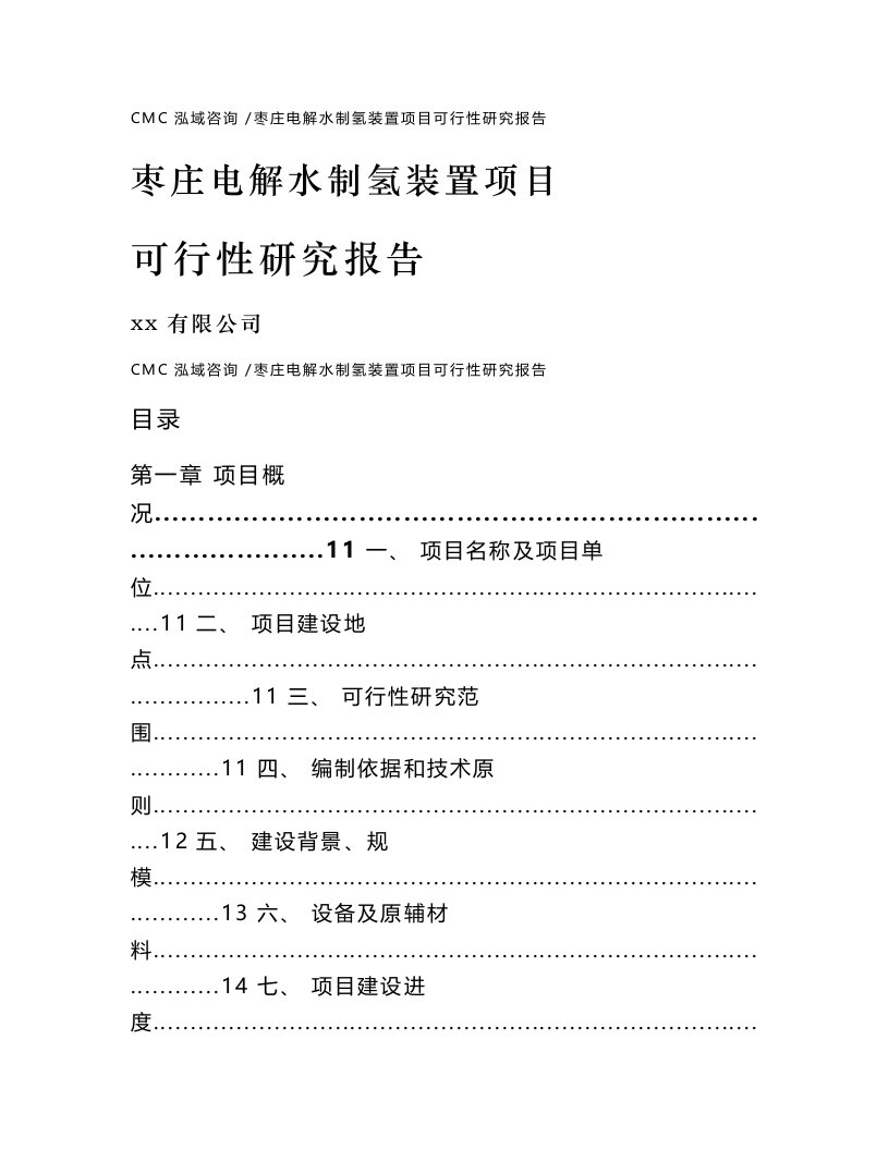 枣庄电解水制氢装置项目可行性研究报告-（范文模板）