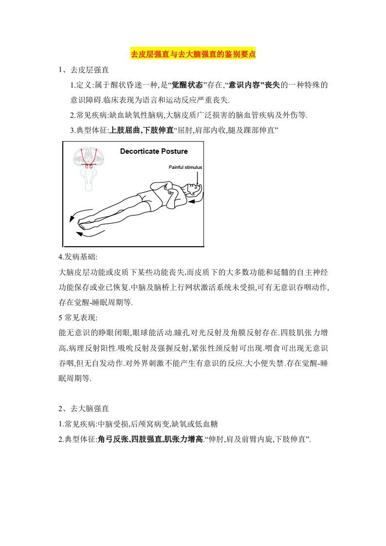 去皮层强直与去大脑强直