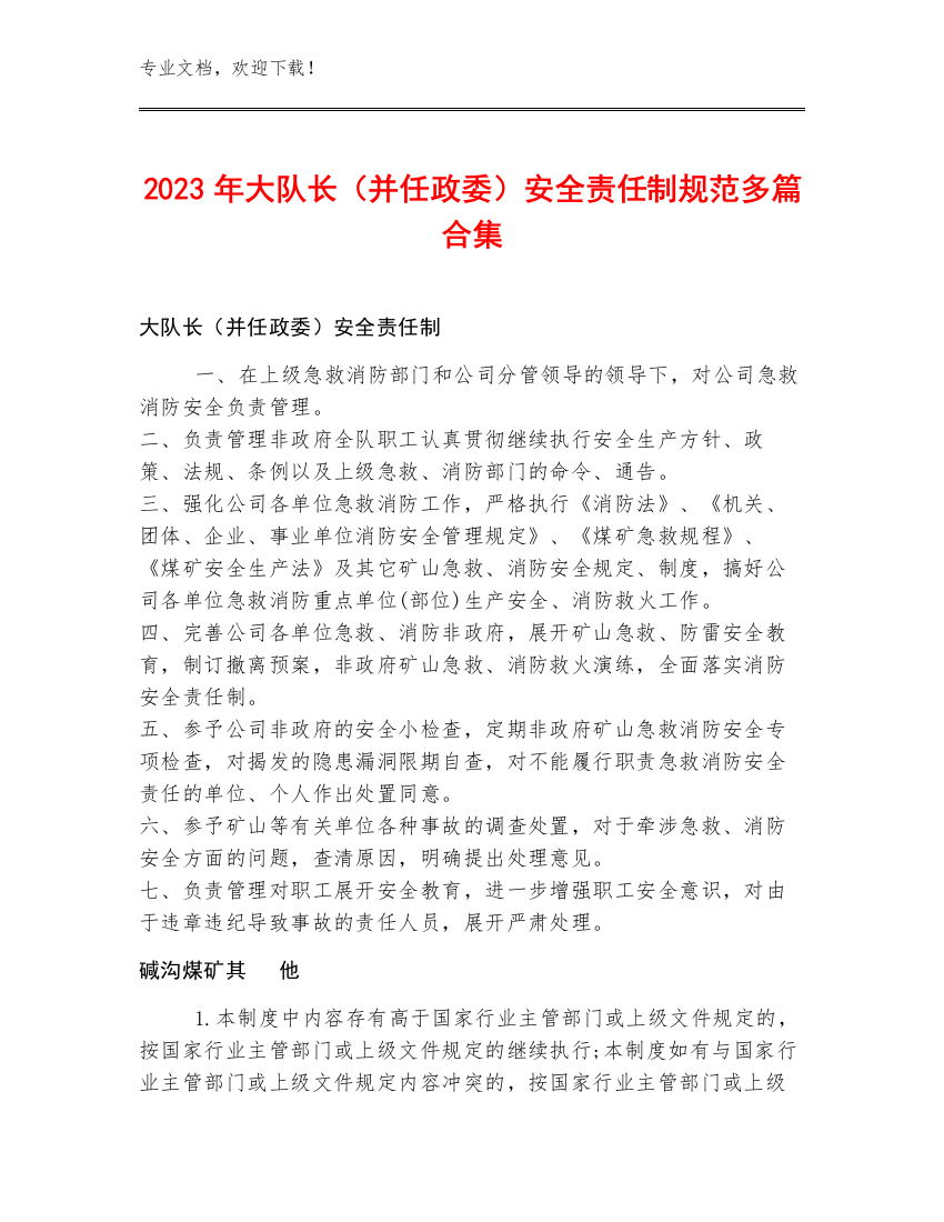 2023年大队长（并任政委）安全责任制规范多篇合集