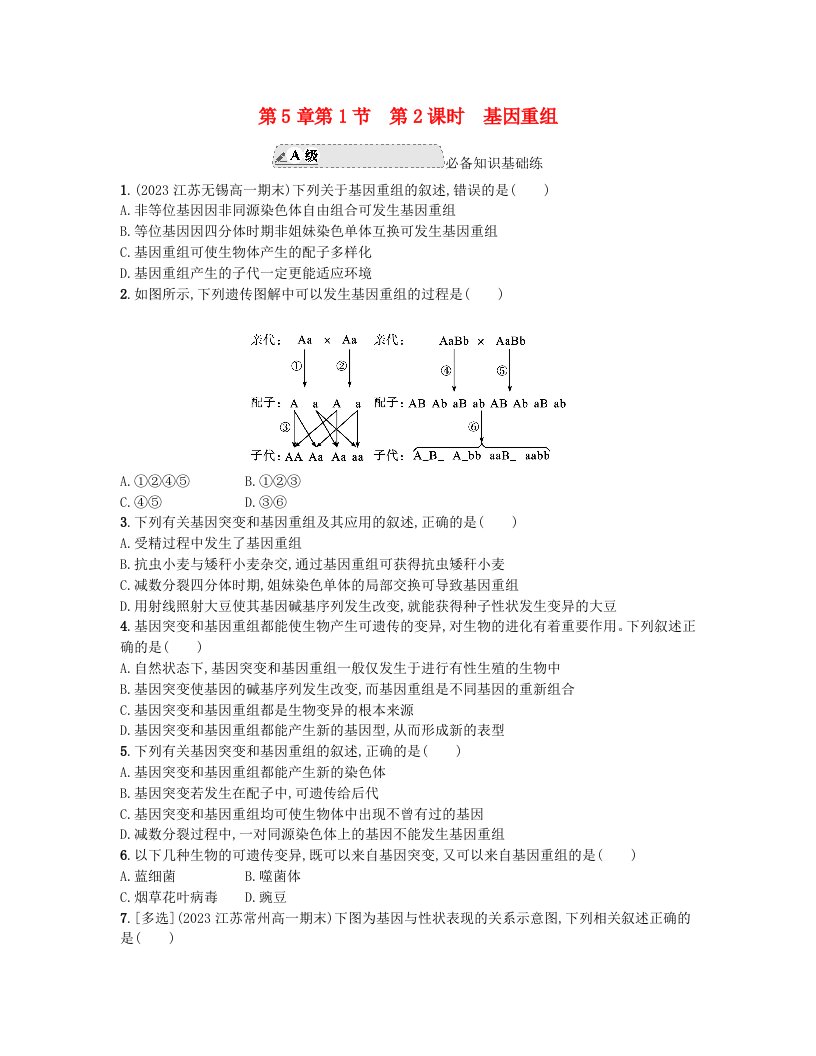 江苏专版2023_2024学年新教材高中生物第5章基因突变及其他变异第1节基因突变和基因重组第2课时基因重组分层作业新人教版必修2