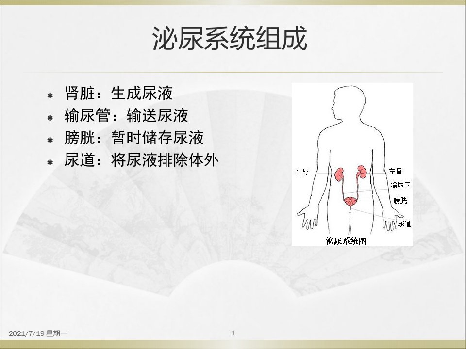 医学专题泌尿系统医院感染防控