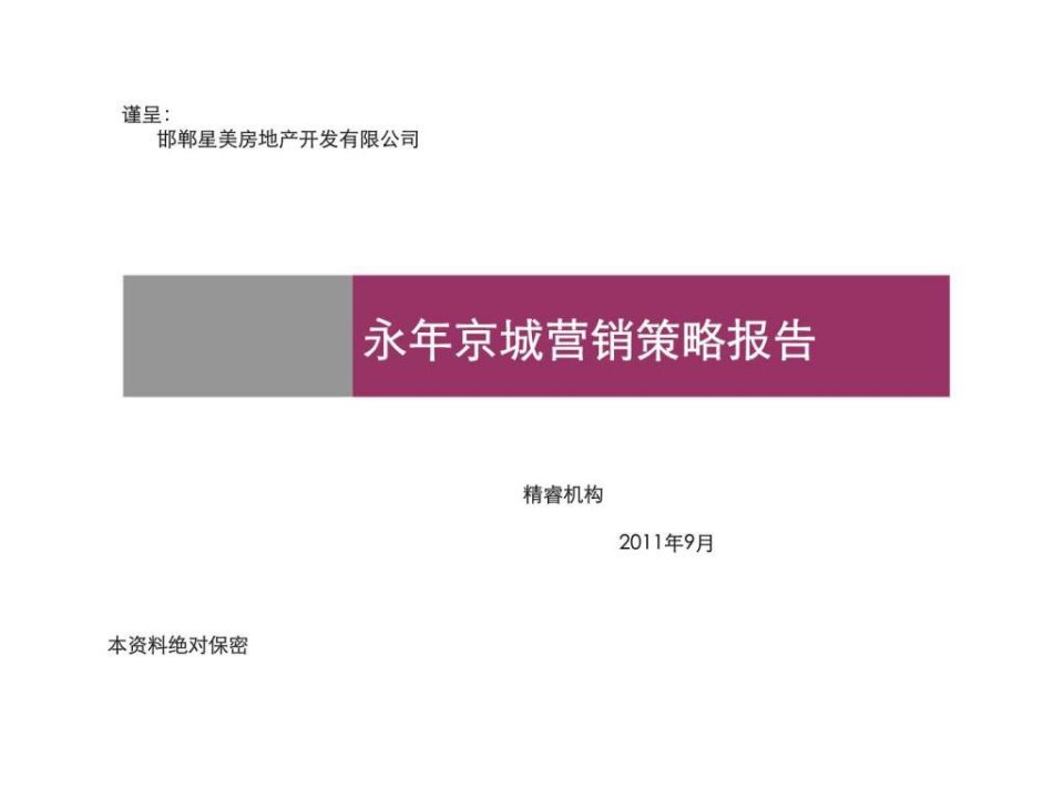 永年京城营销策略报告