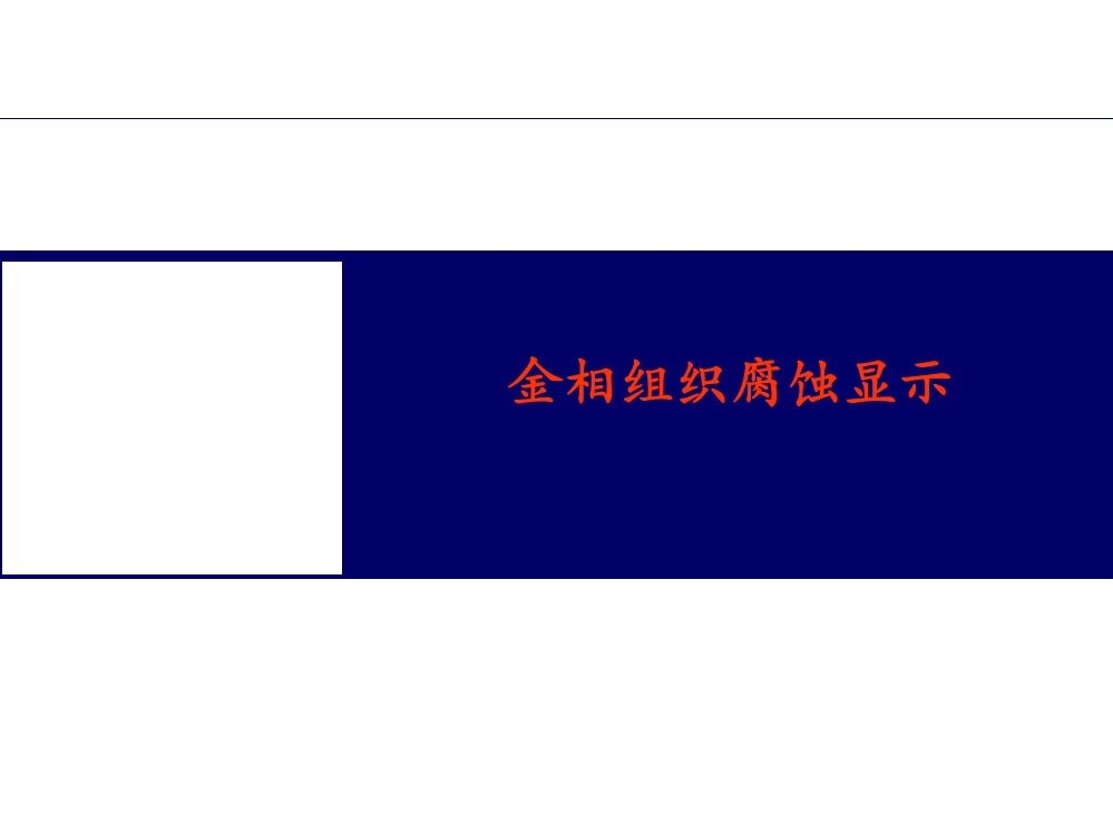 金相组织腐蚀显示ppt课件