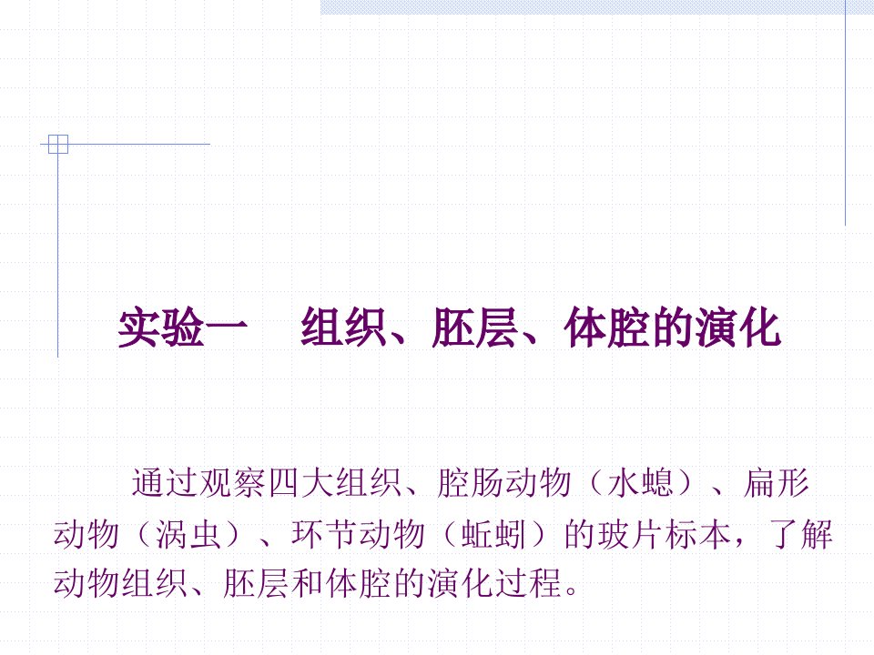 最新实验一动物解剖及动物的形态结构观察技术PPT课件