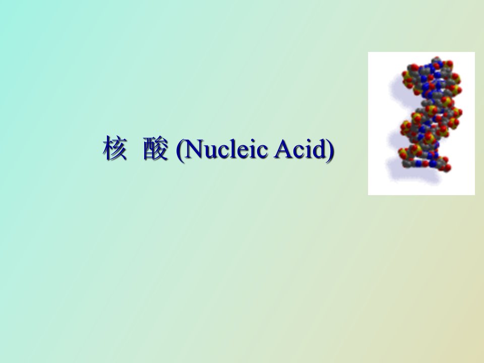 生物化学第三章核酸