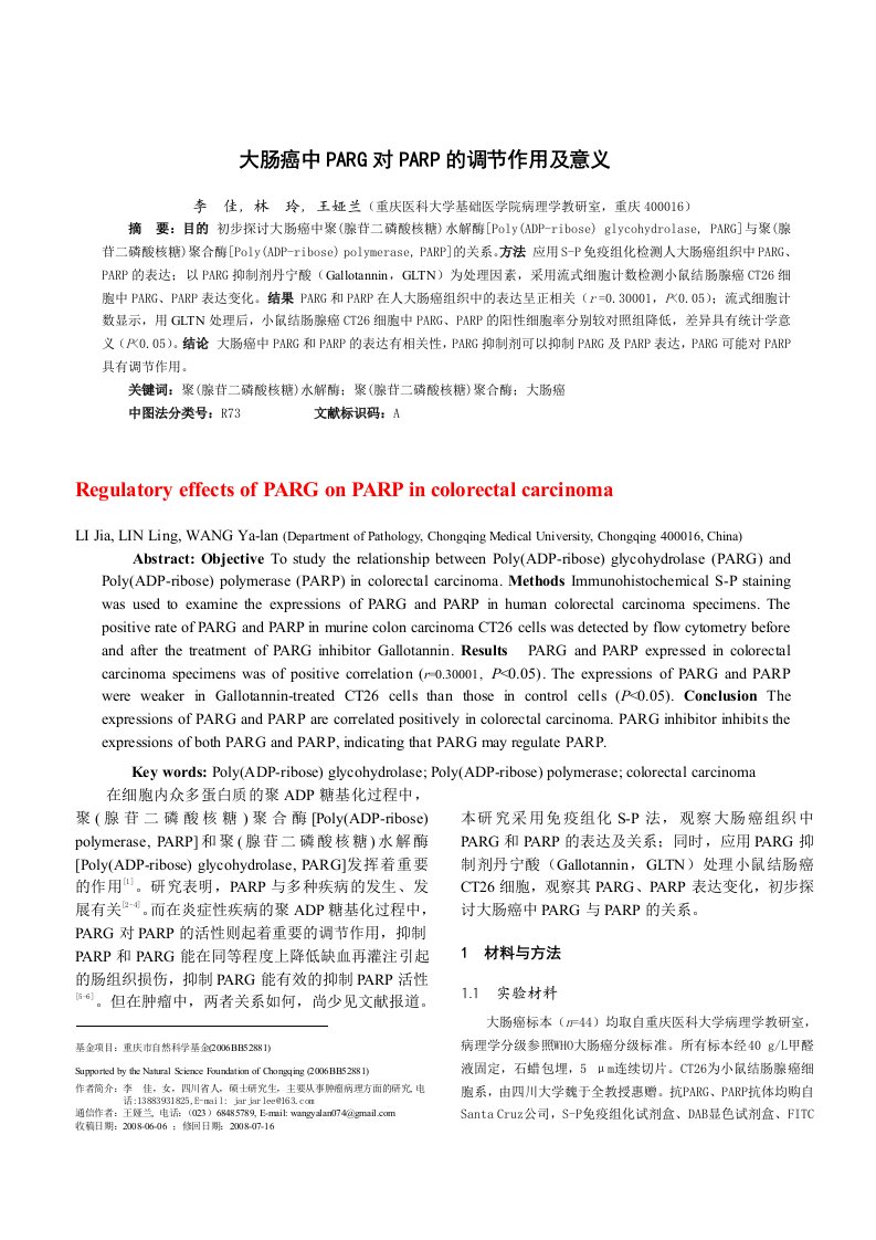 大肠癌PARG与PARP关系的初步研究-第三军医大学学报