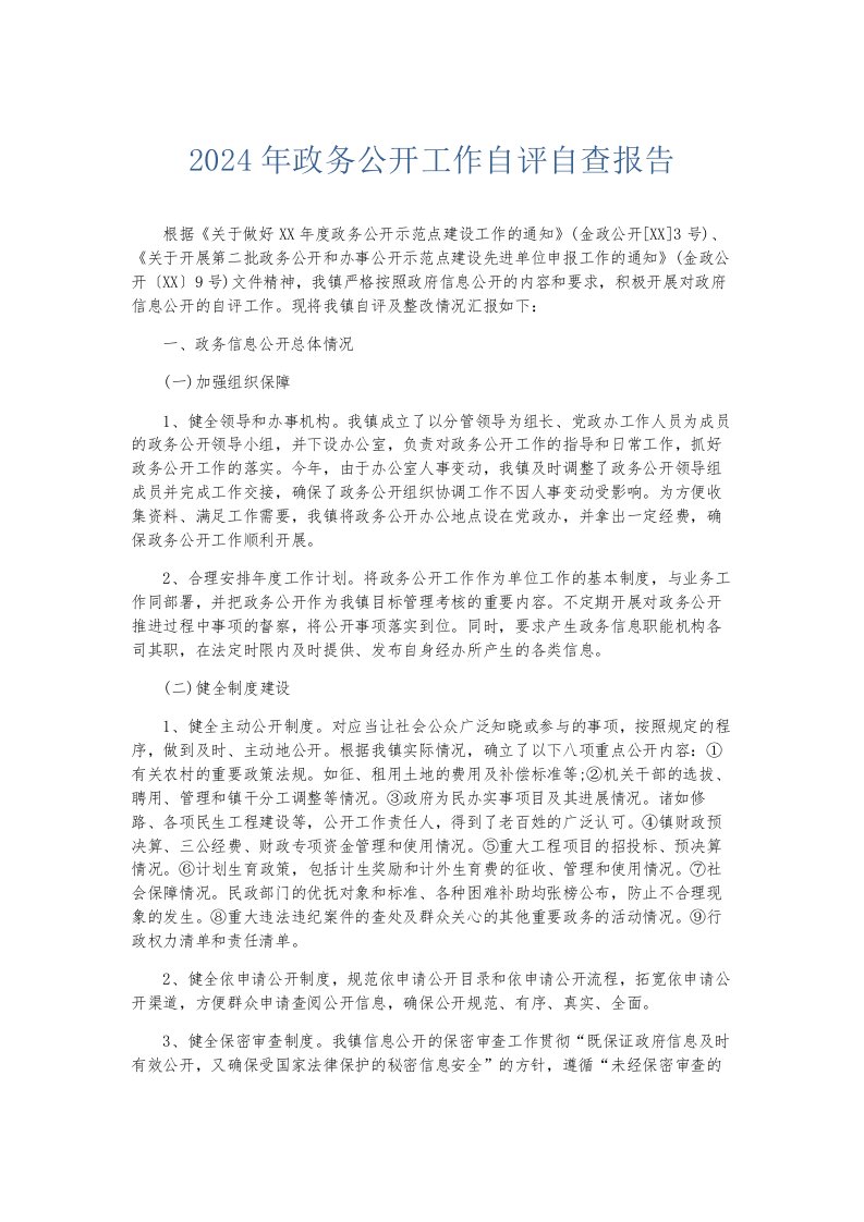 总结报告2024年政务公开工作自评自查报告