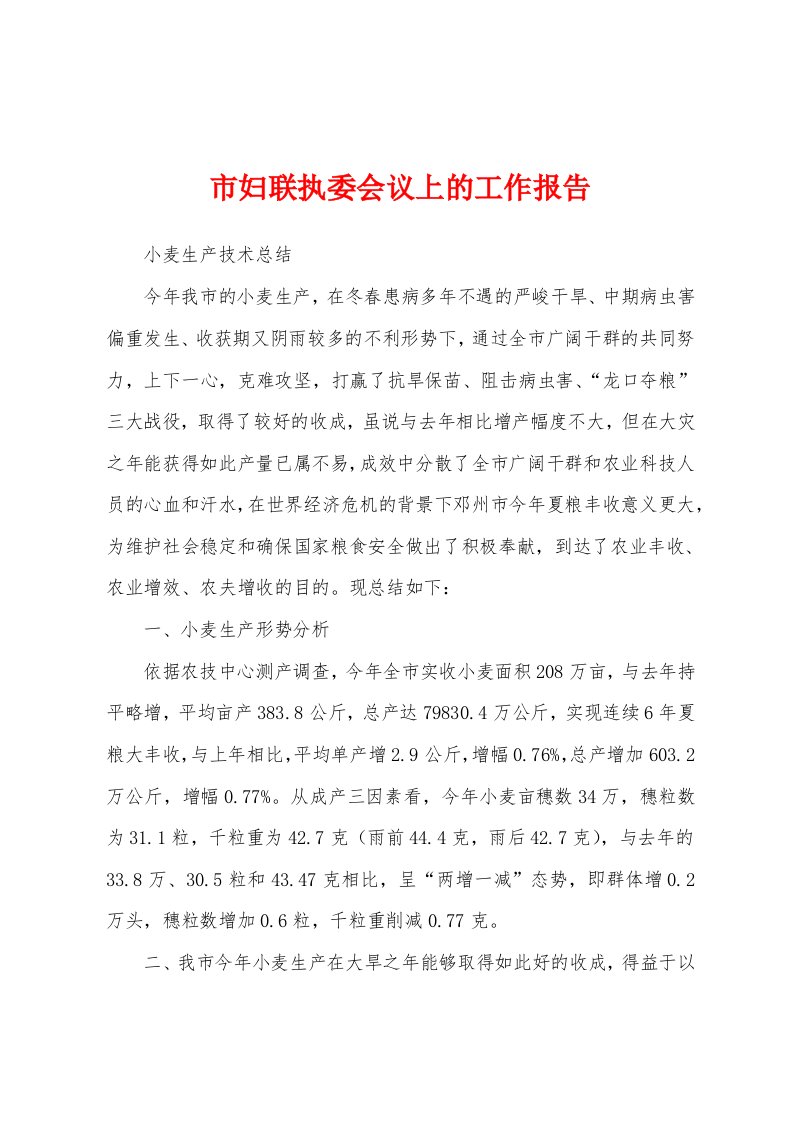 市妇联执委会议上的工作报告