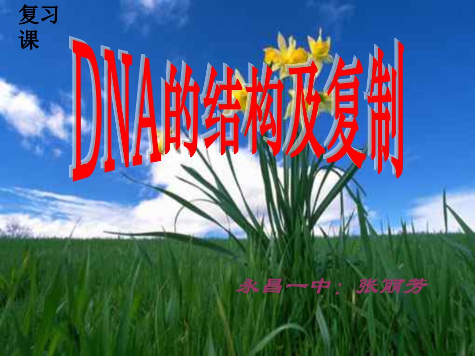 DNA的结构