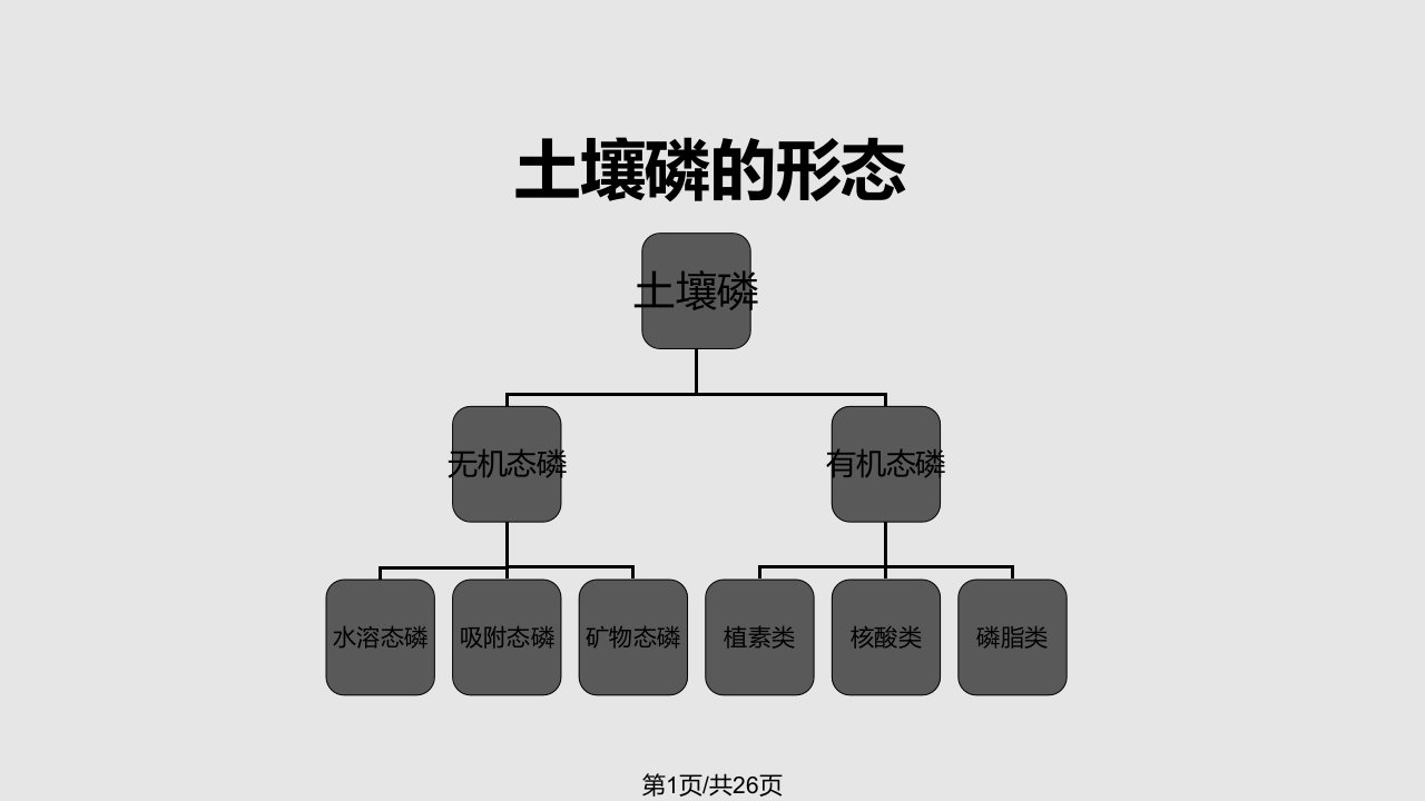 土壤中的磷素的转化特点与提高有效性措施