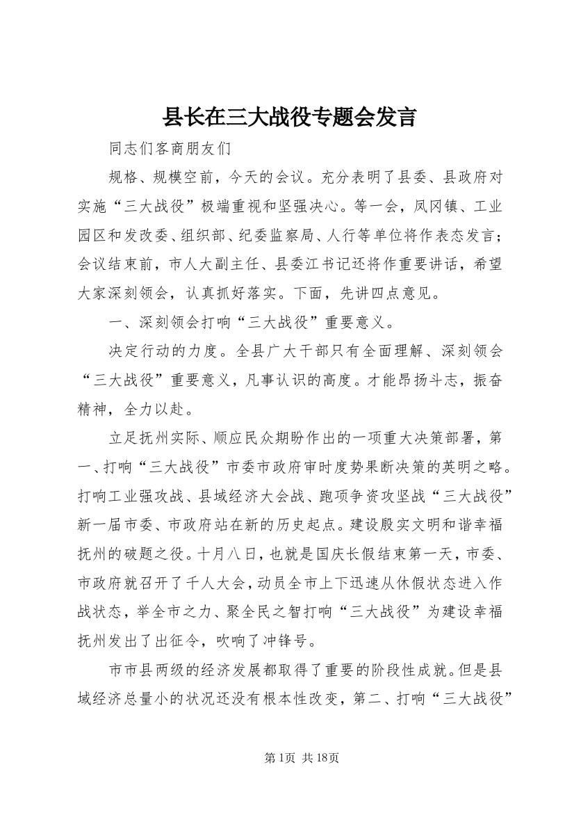 县长在三大战役专题会发言