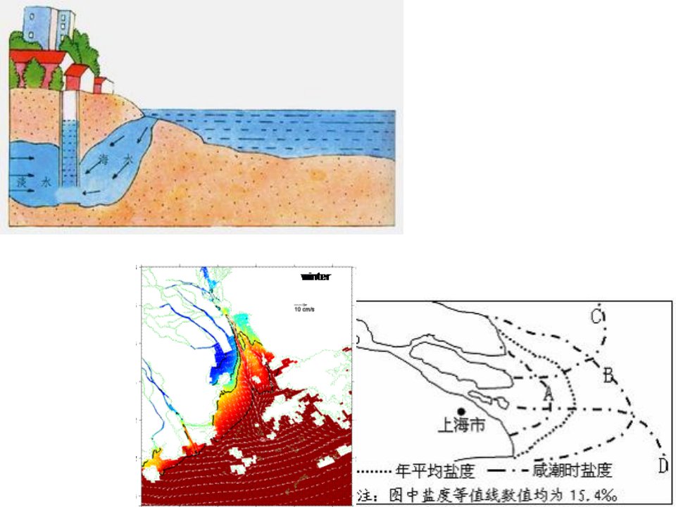 环境问题海水入侵和海水倒灌的区别