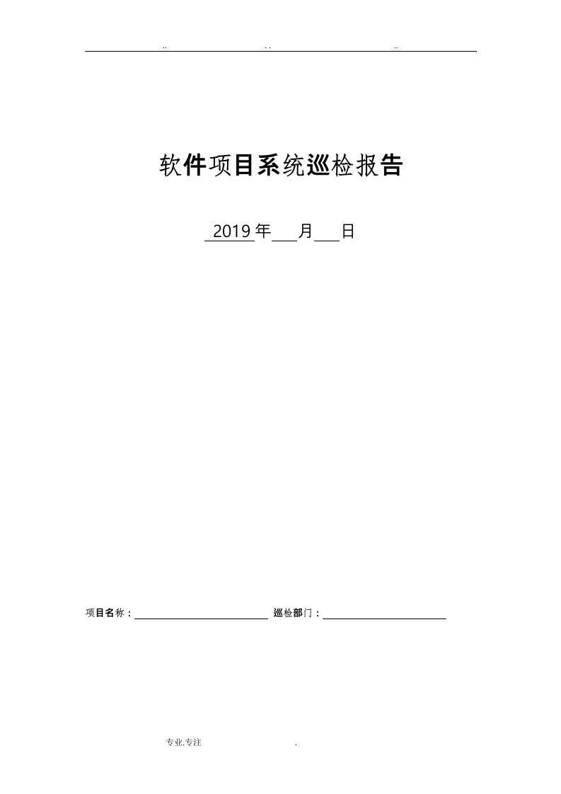 软件项目系统巡检报告